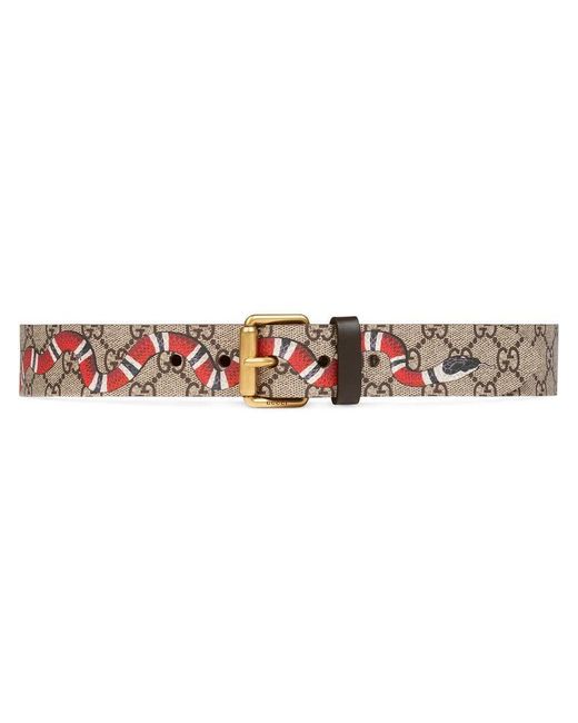 KingSnake Print Gg Supreme Belt - Brown