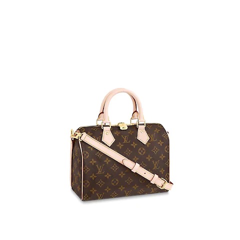 Lv Monogram Speedy 25